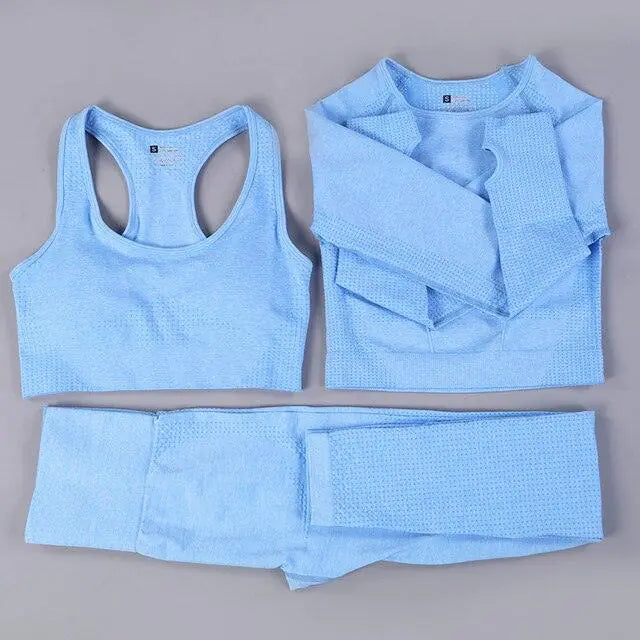Women's Gym Sports Outfit
