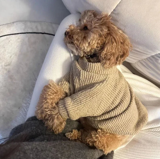 Cozy Dog Sweater