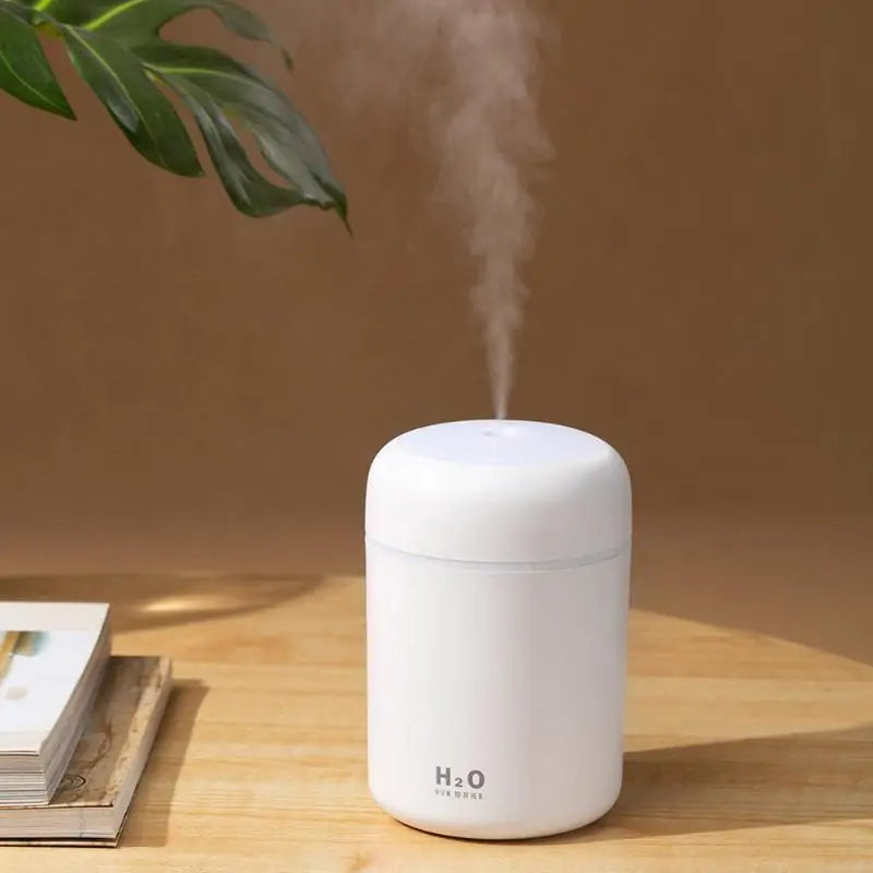 Compact Mini Ultrasonic Humidifier
