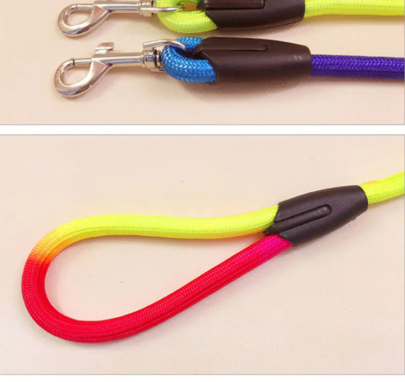 Colorful Nylon Dog Leash